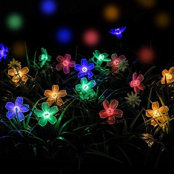 DAISYGLOW