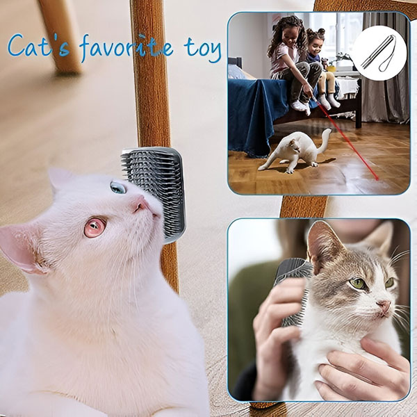 PURRCORNER