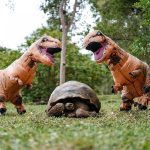 TREXCOS