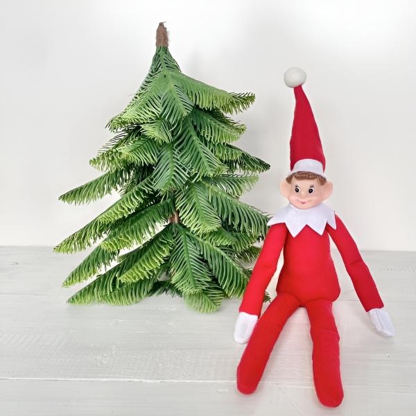 R4EDELF