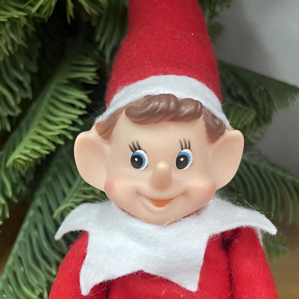 R4EDELF